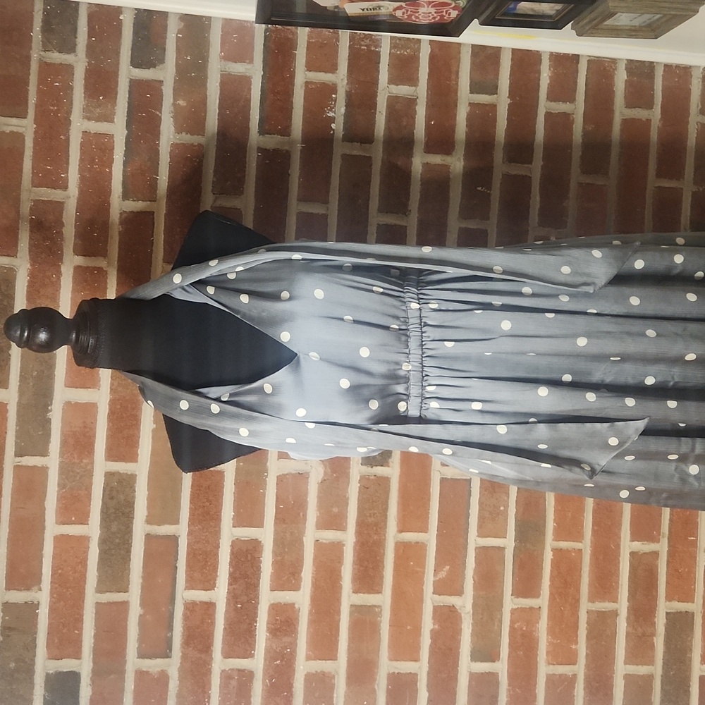 Ryegrass polkadot dress, size Small - Picture 4 of 6